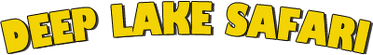 Deep Lake Safari Oy - logo