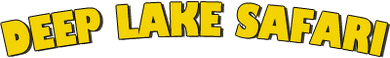 Deep Lake Safari Oy - logo